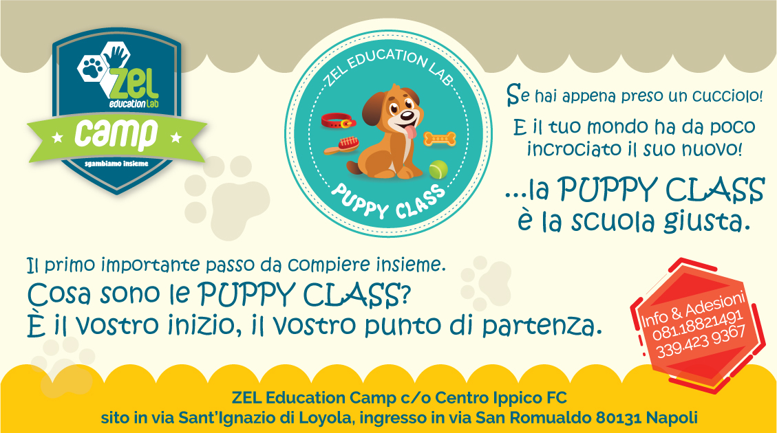 PUPPY CLASS… il vostro punto di partenza!