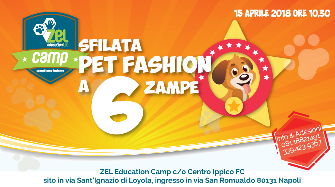 Sfilata PET FASHION a 6 Zampe